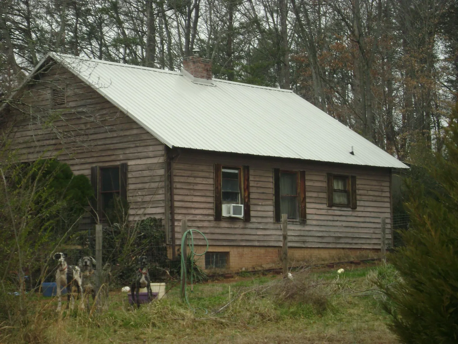 White metal roof on an old wood sided farmhouse, from a Asphalt Shingle Roof Repair job in Carrolltown